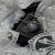 IMG_4304.jpeg