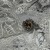 IMG_8042.jpeg